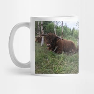 Scottish Highland Cattle Bulls 1463 Mug